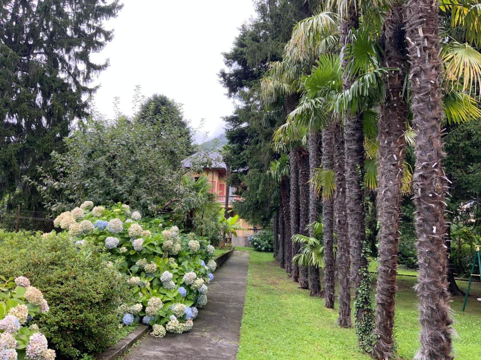 Villa Del Castanar Maccagno Luaran gambar